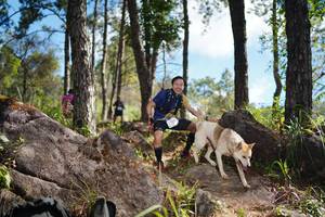 BIB: 
                            <button type="button" onclick="openModal(18945405)" class="btn btn-primary btn-sm float-right btn-popup" data-toggle="modal" data-target=".modal-high-quality">
                        <i class="fas fa-shopping-cart"></i> Add to Cart
                    </button>
                                            <button type="button" onclick="isThisMe(18945405, true)" class="btn btn-success btn-sm float-right btn-popup btn-isme hidden" data-toggle="tooltip" data-placement="bottom" title="นี่คือรูปของคุณใช่ไหม คลิกที่นี่เพื่อเอาเข้าอัลบั้ม">
                        <i class="fas fa-plus"></i> Add to album
                    </button>
                    <button type="button" onclick="isThisMe(18945405, false)" class="btn btn-warning btn-sm float-right btn-popup btn-isnotme hidden">
                        <i class="fas fa-ban"></i> Remove from album
                    </button>